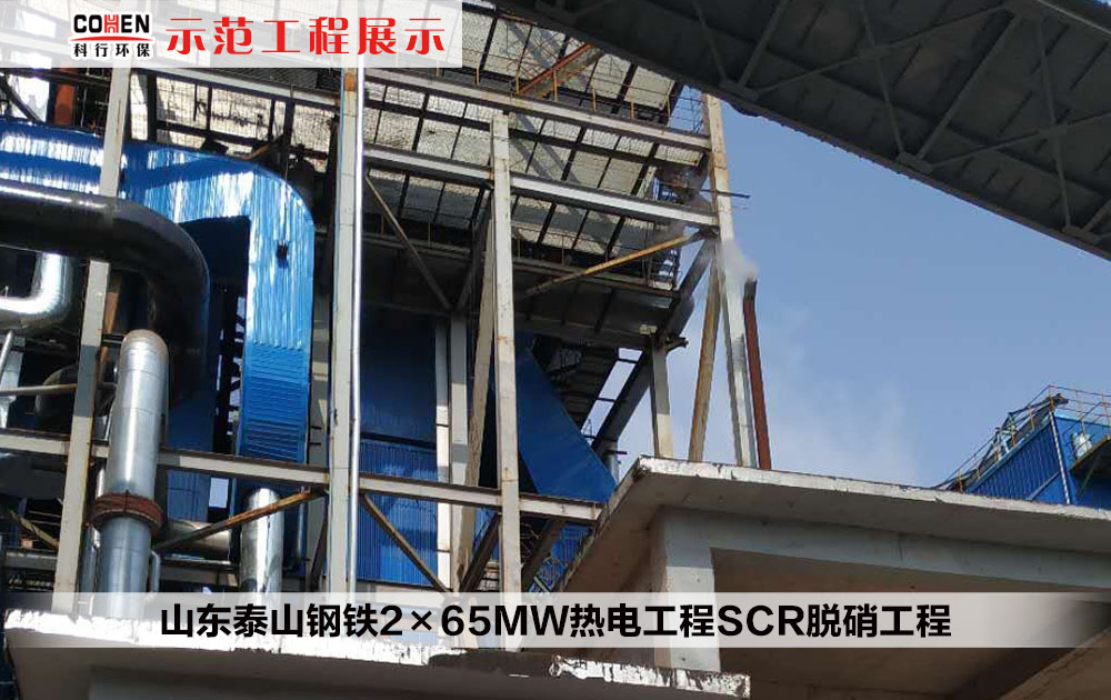 山东泰山钢铁2×65MW热电工程SCR脱硝工程