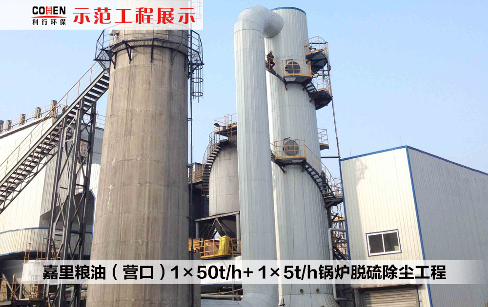 嘉里粮油（营口）1×50t/h+ 1×5t/h锅炉脱硫除尘工程
