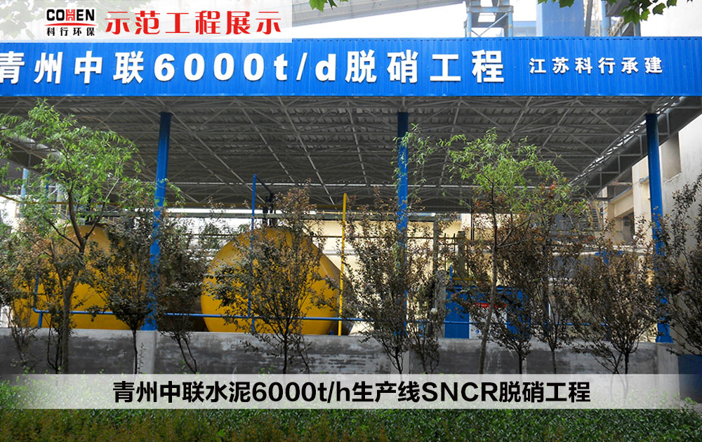 青州中联水泥6000t/h生产线SNCR脱硝工程