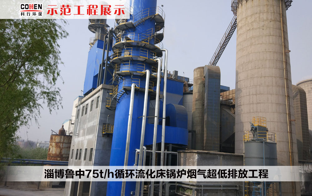 淄博鲁中75t/h循环流化床锅炉烟气超低排放工程