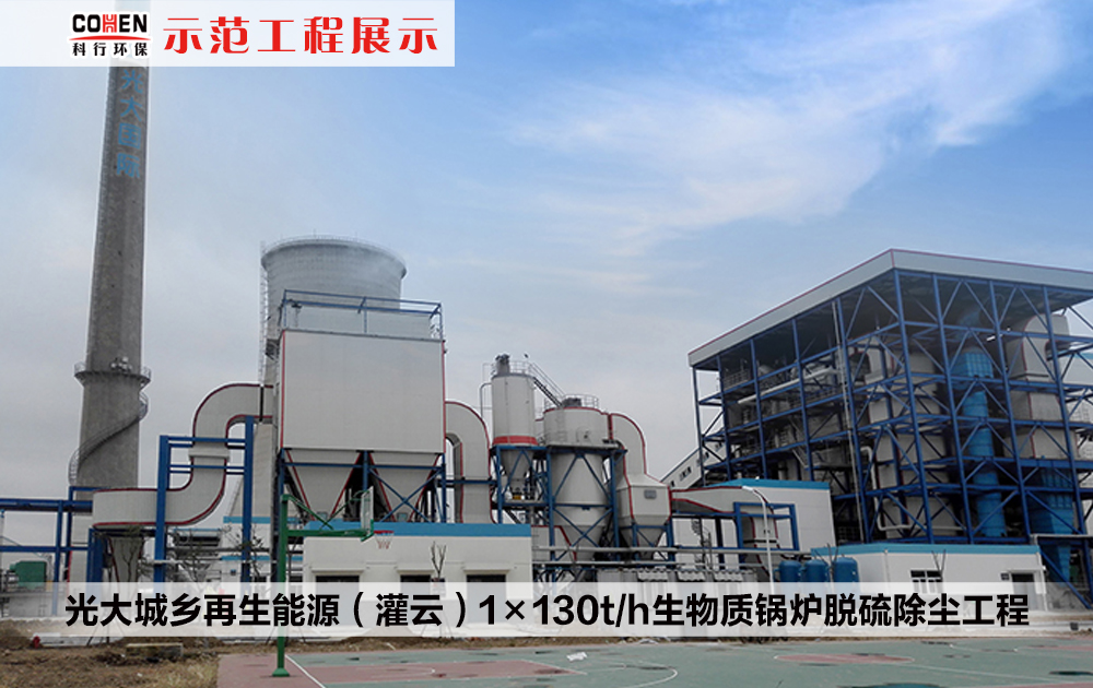 光大城乡再生能源（灌云）1×130t/h生物质锅炉脱硫除尘工程